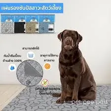 Pet Pee Pad แผ่นรองซับ-ซักได้