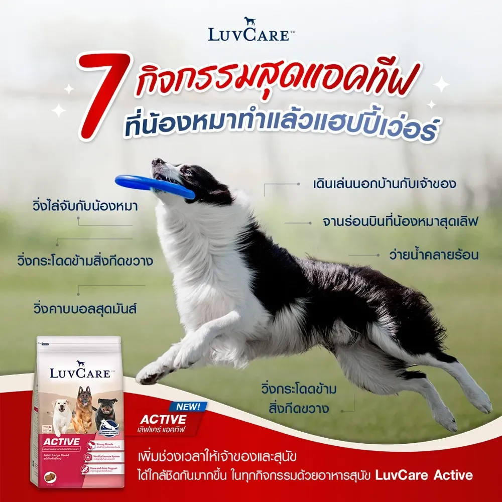 Luvcare Active อาหารสุนัขโต (พันธุ์ใหญ่) แอคทีฟ
