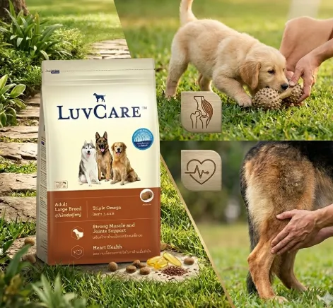 Luvcare Adult Large Breed Triple Omega 3,6,9 อาหารเม็ดสำหรับสุนัขโตพันธุ์ใหญ่