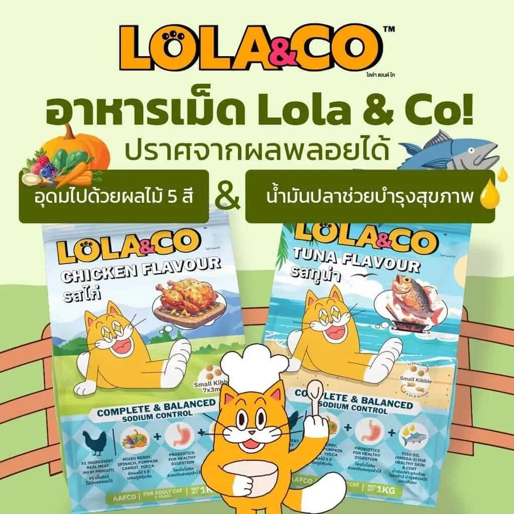 Lola&Co Cat Food อาหารแมวแบบเม็ด