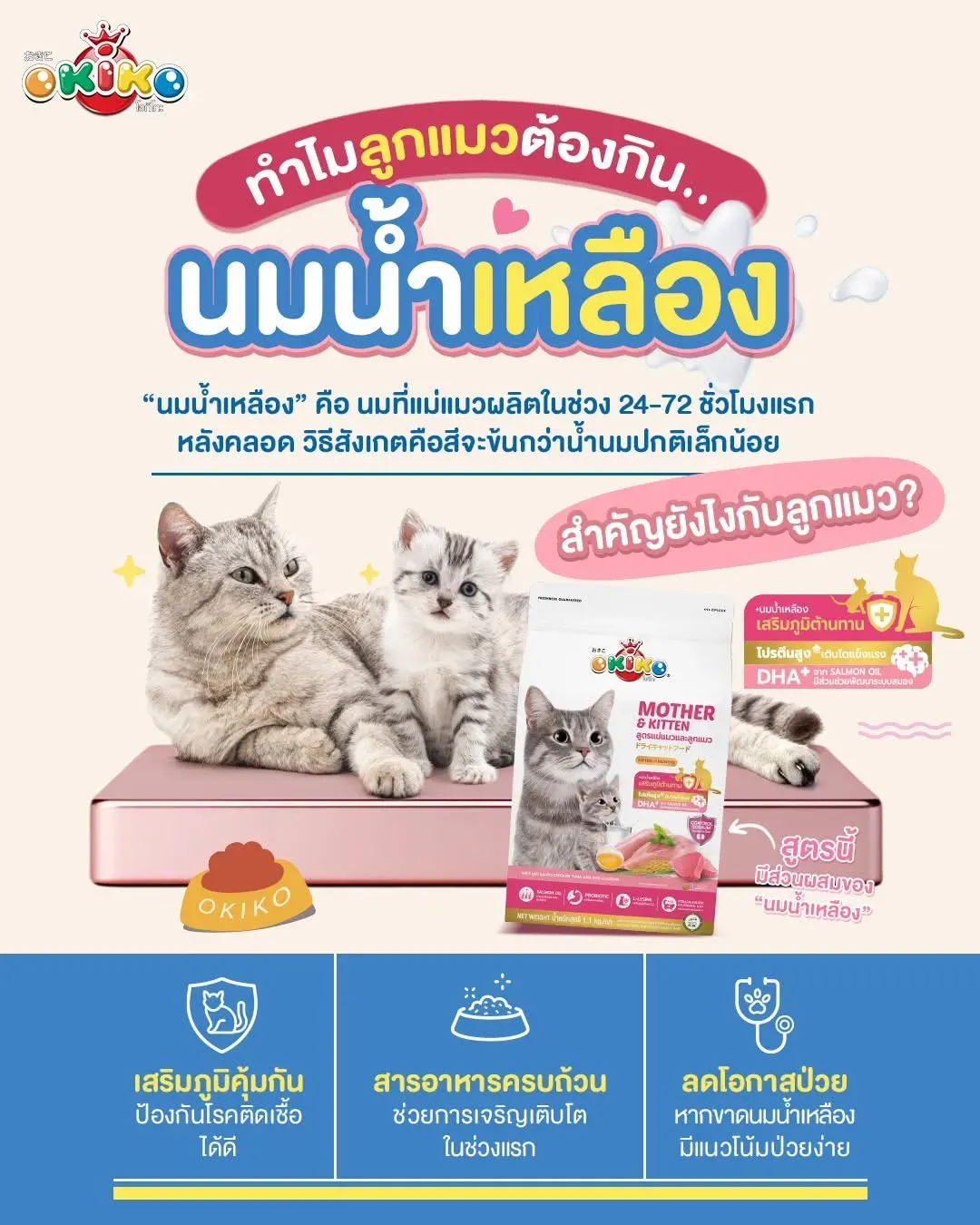 Okiko Mother & Kitten ไก่ ทูน่า ข้าว