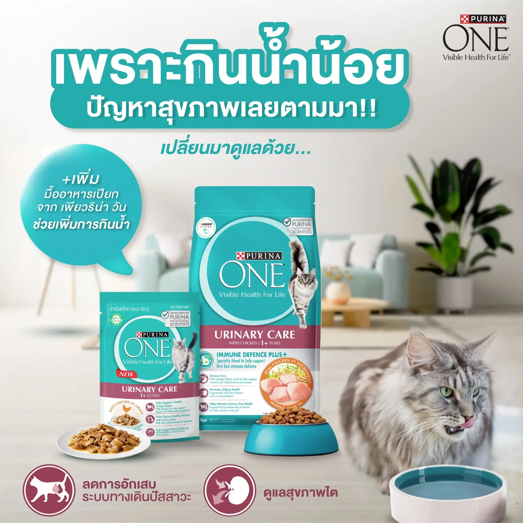 Purina One Urinary Care สูตรดูแลสุขภาพทางเดินปัสสาวะ