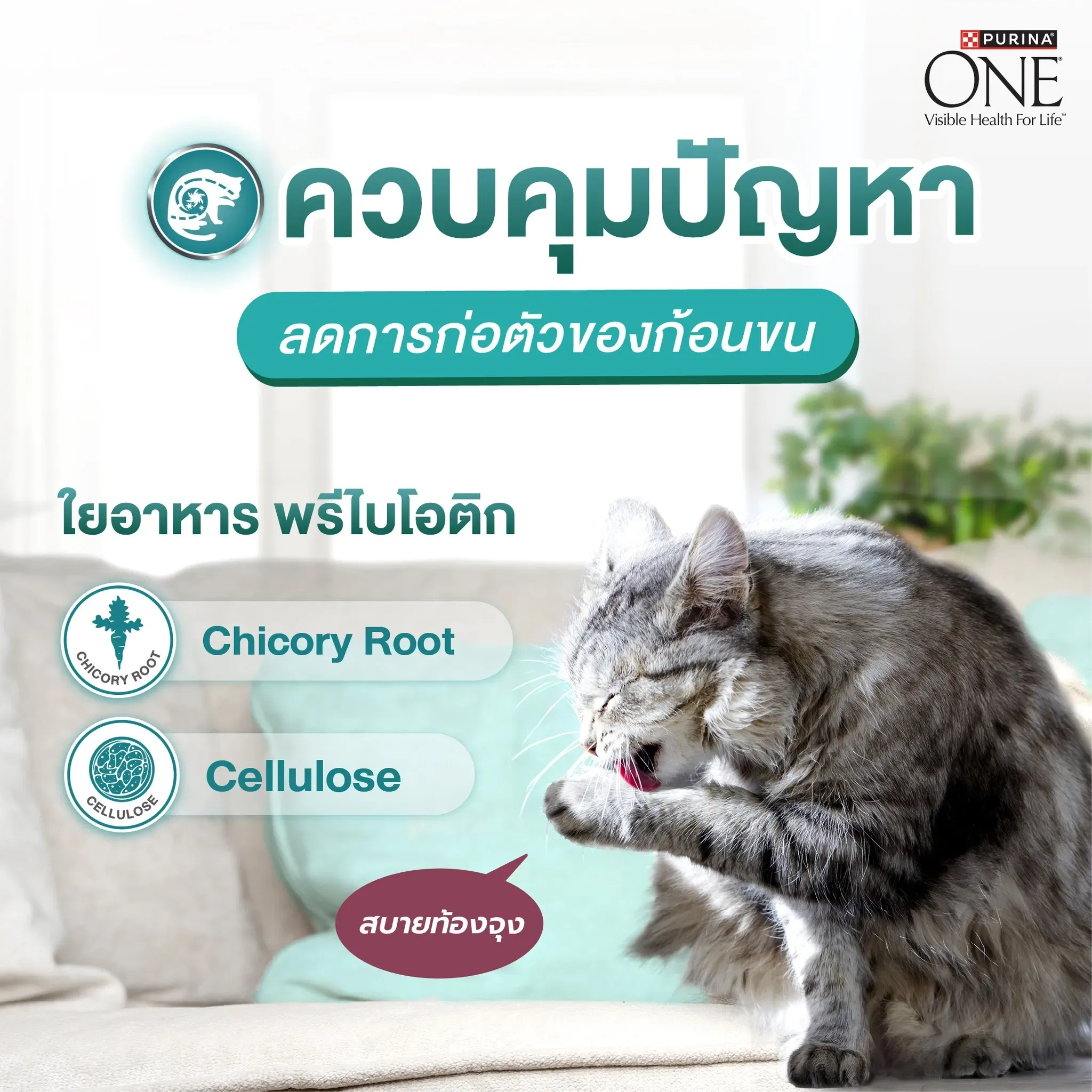Purina One Hairball Control สูตรช่วยลดการเกิดก้อนขน