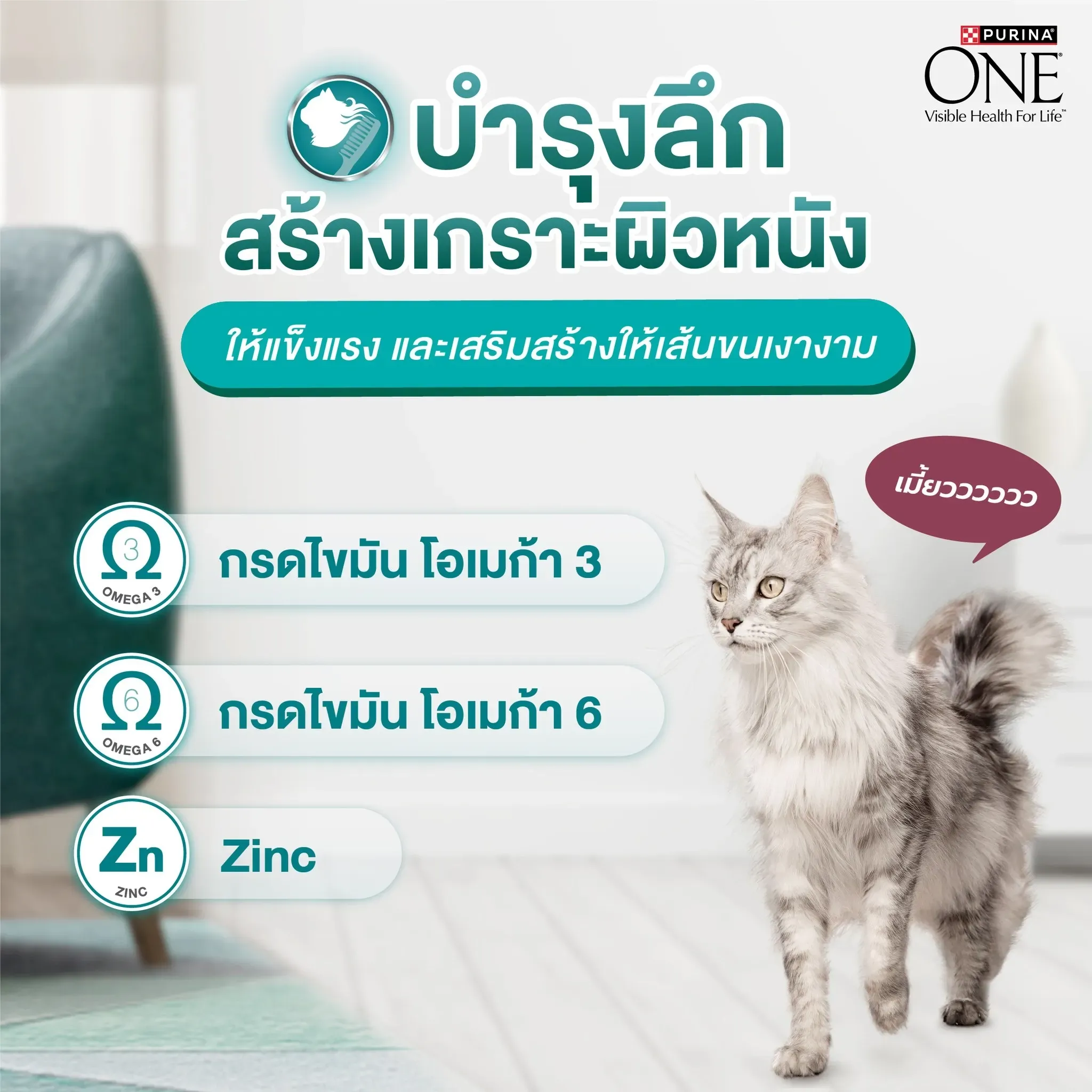 Purina One Hairball Control สูตรช่วยลดการเกิดก้อนขน