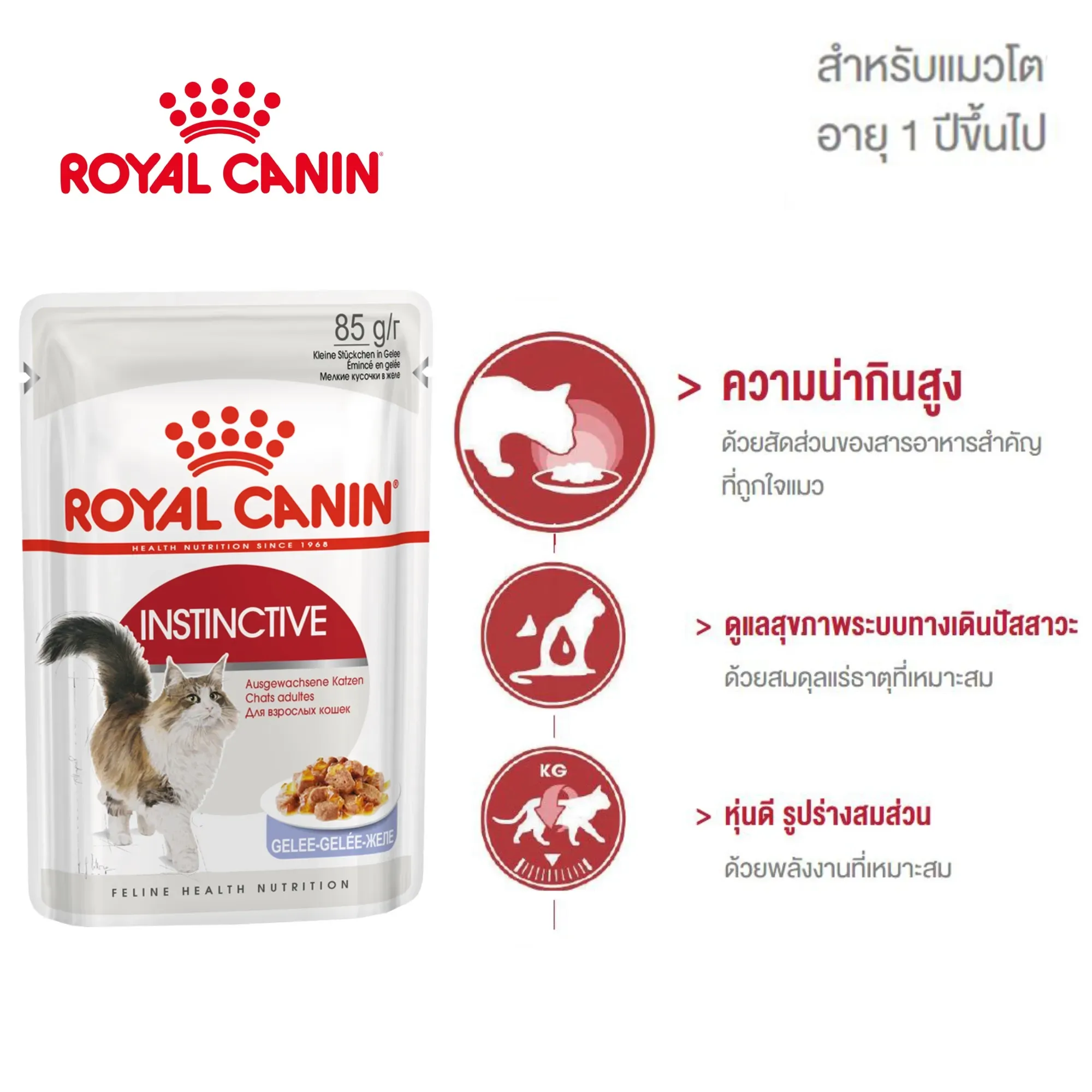 Royal Canin Pouch อาหารเปียกแมวซอง สูตร Instinctive 85 g