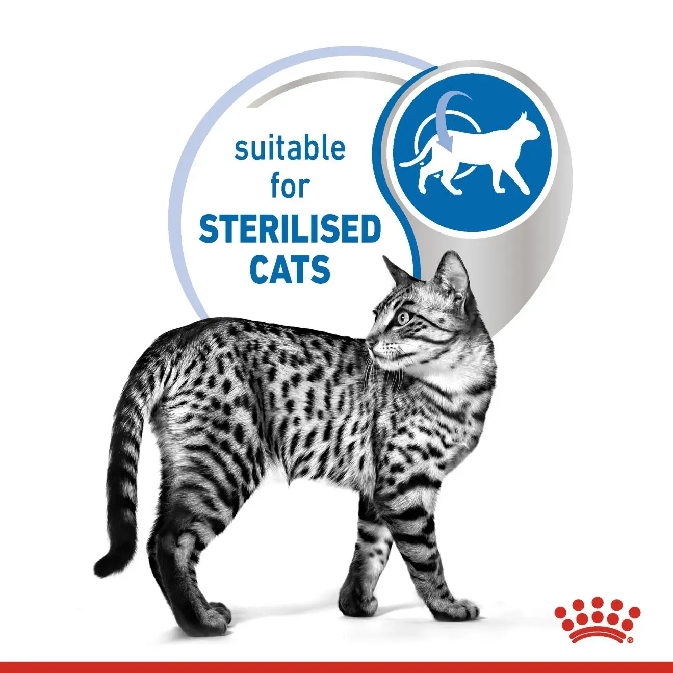 Royal Canin Pouch อาหารเปียกแมวซอง สูตร Indoor 85 g