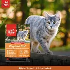 Orijen Original Cat สำหรับแมวโตทุกสายพันธุ์