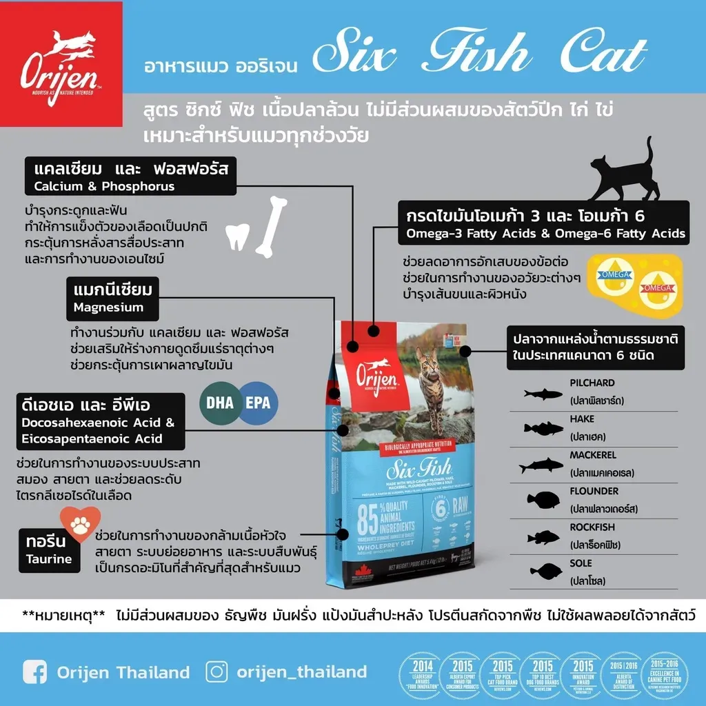 Orijen 6 Fish Catสูตรโปรตีนจากปลาล้วน 6 ชนิด