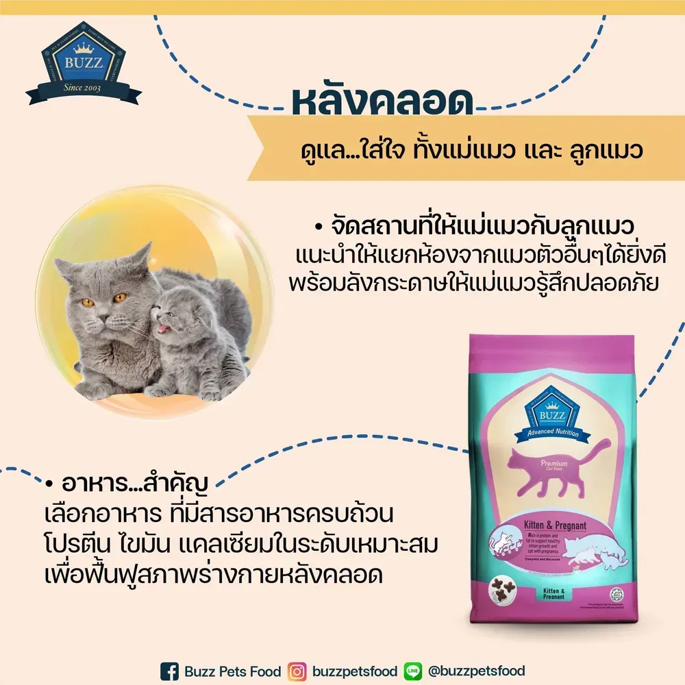 Buzz Advanced Nutrition Kitten&Pregnant อาหารสำหรับลูกและแม่แมวตั้งท้อง
