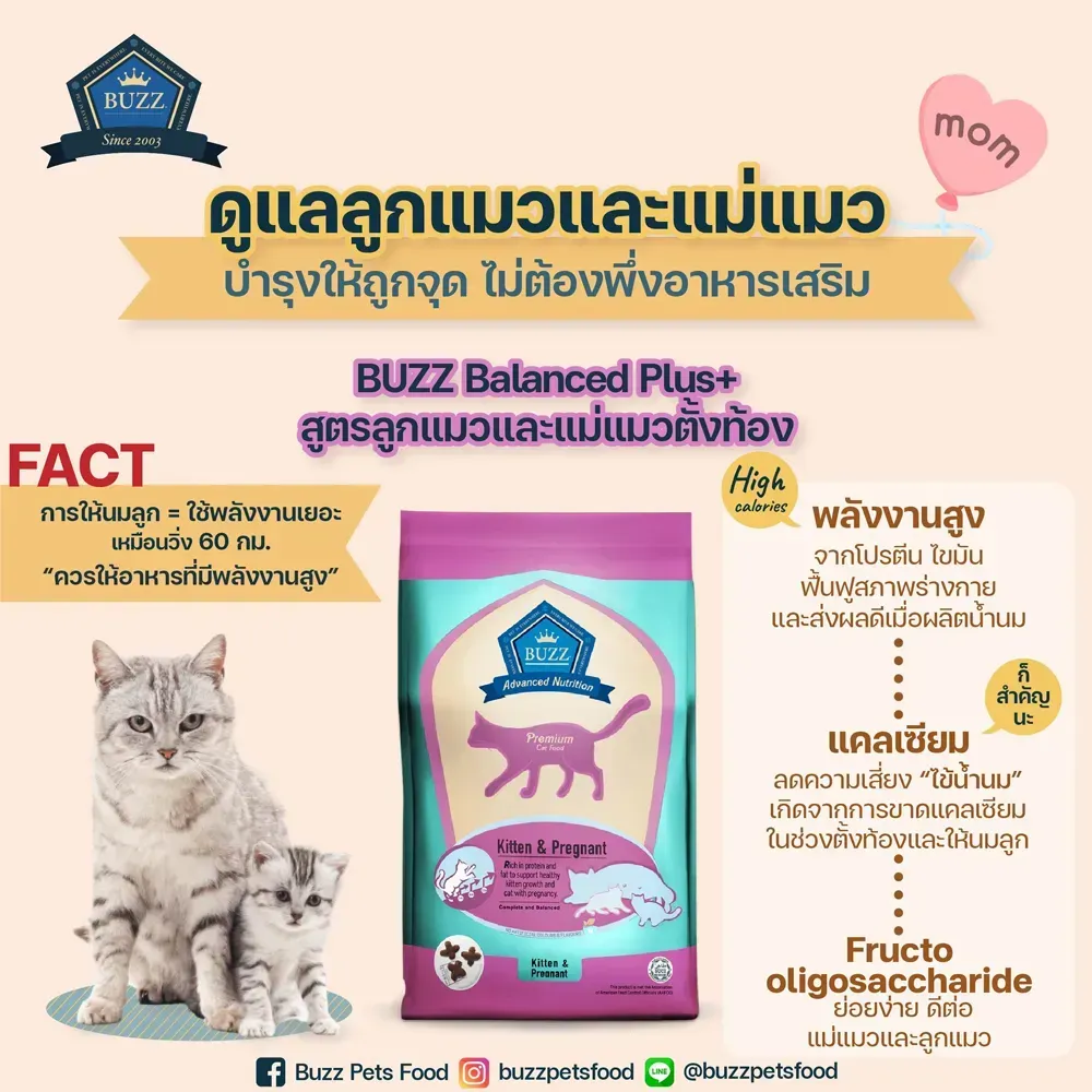 Buzz Advanced Nutrition Kitten&Pregnant อาหารสำหรับลูกและแม่แมวตั้งท้อง