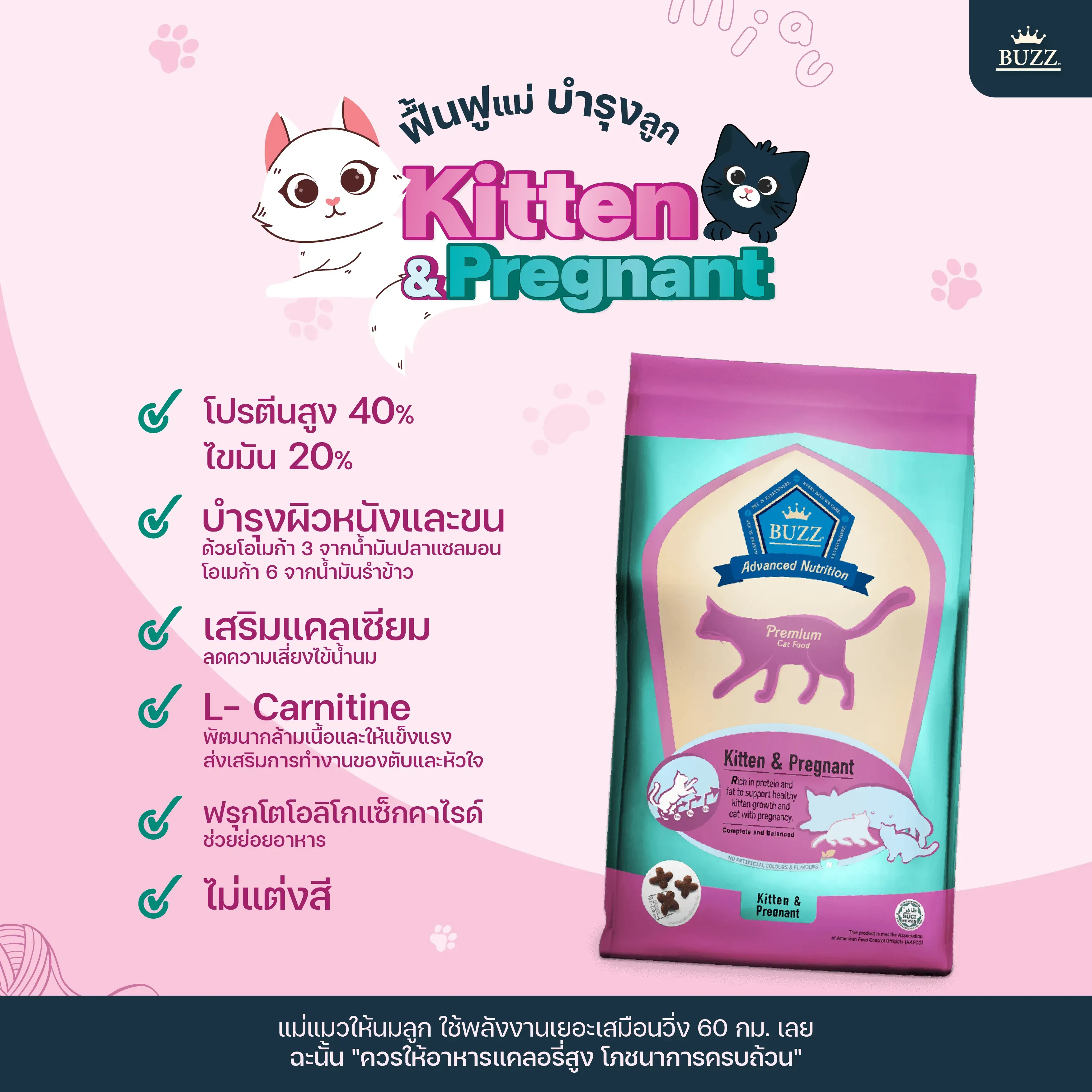 Buzz Advanced Nutrition Kitten&Pregnant อาหารสำหรับลูกและแม่แมวตั้งท้อง