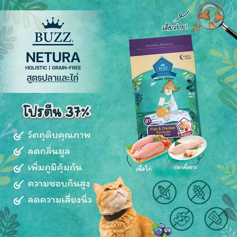Buzz Netura Holistic Cat & Kitten สูตรเนื้อปลาและไก่