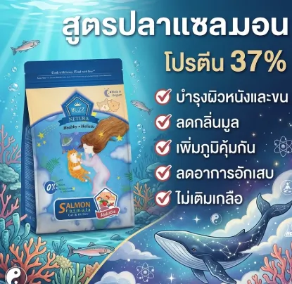 Buzz Netura Holistic Cat & Kitten สูตรเนื้อปลาแซลมอน