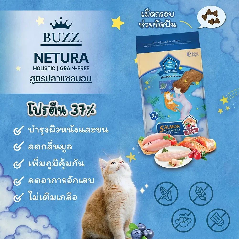 Buzz Netura Holistic Cat & Kitten สูตรเนื้อปลาแซลมอน