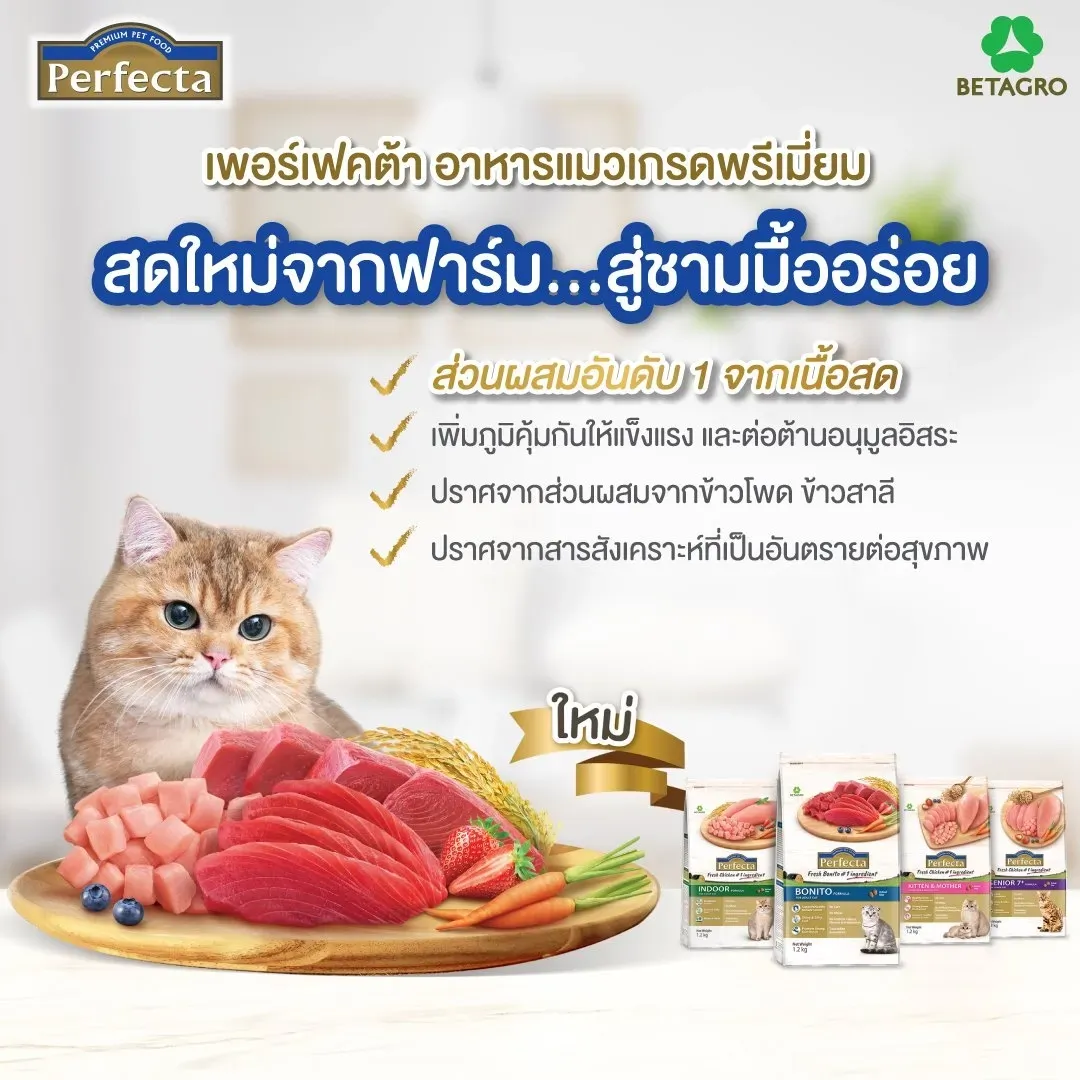 Perfecta Wellness อาหารสำหรับแมวสูงวัย 7+