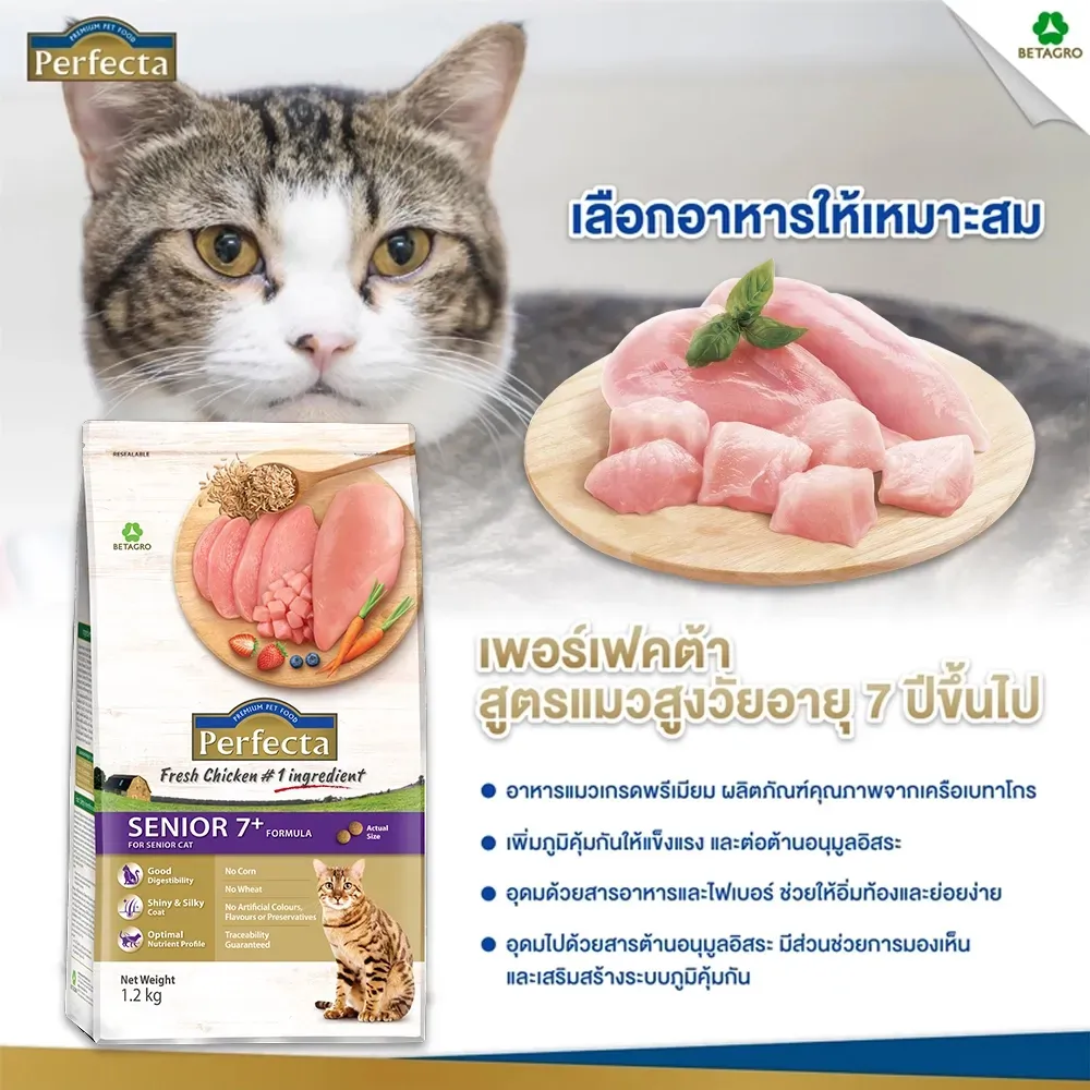 Perfecta Wellness อาหารสำหรับแมวสูงวัย 7+