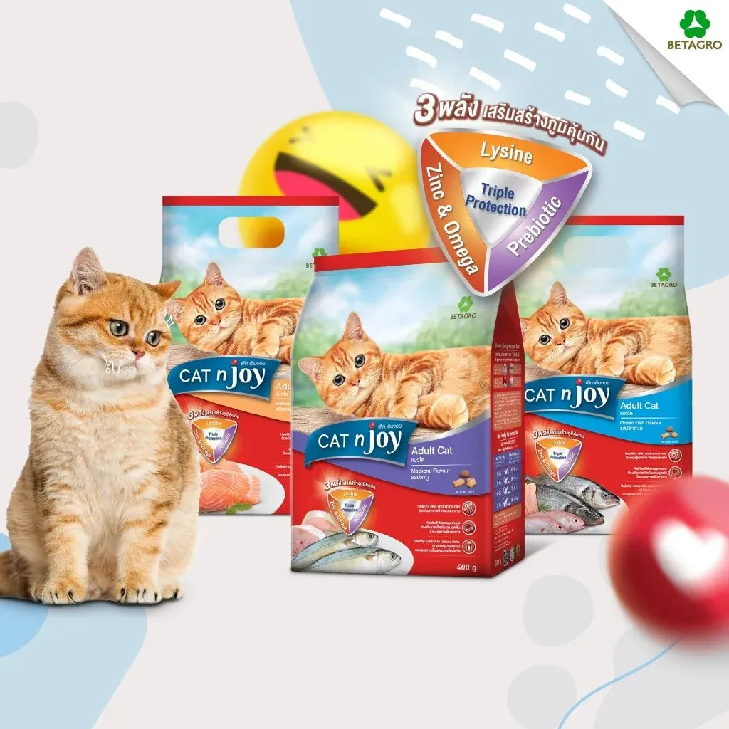 Cat N Joy อาหารสำหรับแมวโต