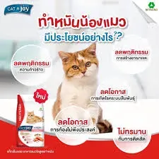 Cat N Joy Neutered แมวโตทำหมัน รสแซลมอน