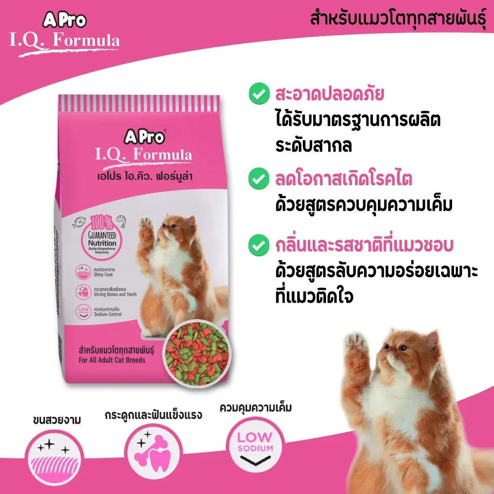 A Pro I.Q. Fomula Cat 2 Mix อาหารเม็ดสำหรับแมวโตทุกสายพันธุ์