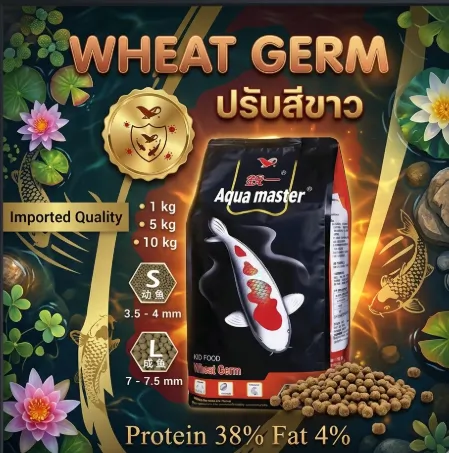 Aqua Master Wheat Geam ปรับสีขาว