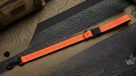 สีส้ม