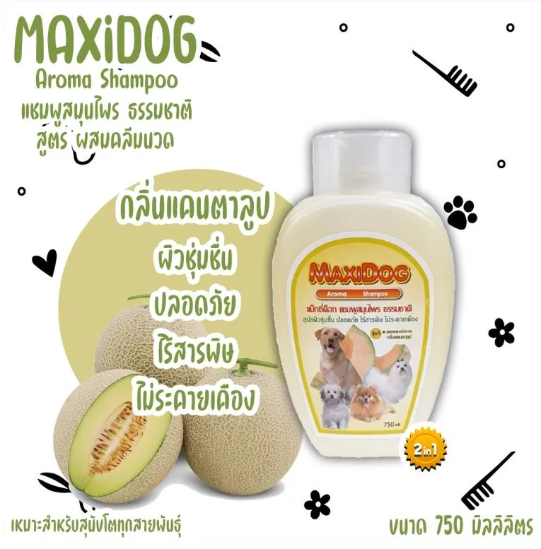 กลิ่นแคนตาลูป