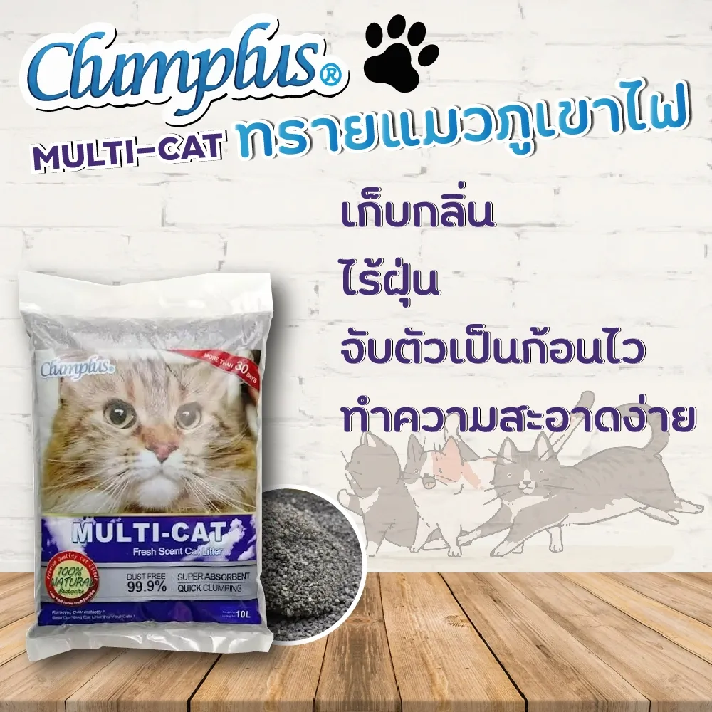 กลิ่นมัลติแคท
