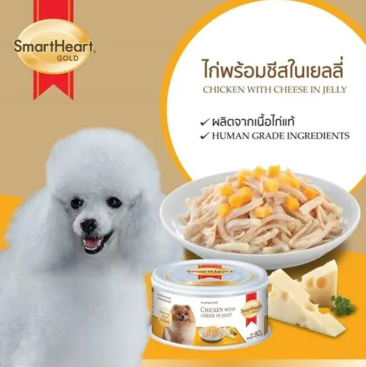 ไก่และชีสเจลลี่