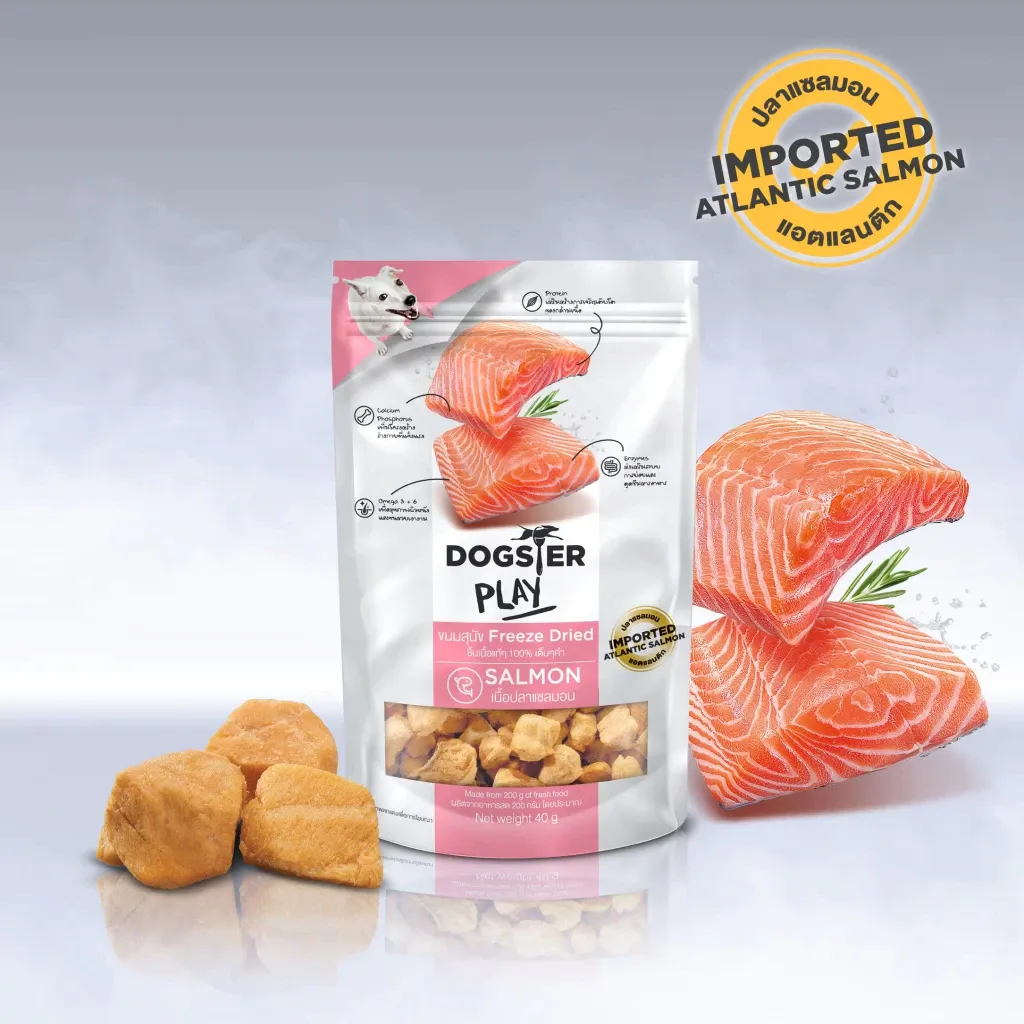 Salmon (สูตรเนื้อปลาแซลมอน)