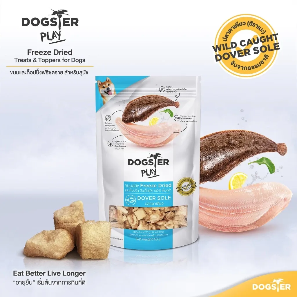 Dover Sole (สูตรปลาตาเดียว)