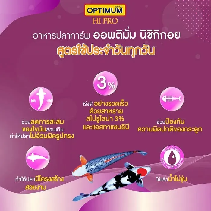 Optimum Nishikigoi อาหารปลาคาร์พ สูตรใช้ประจำวัน