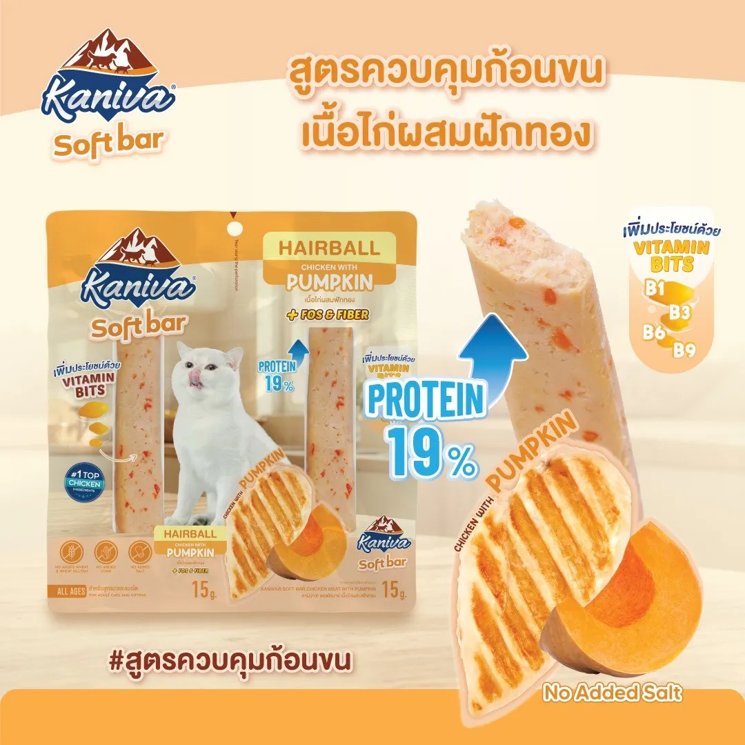 Hairball (Chicken & Pumpkin)