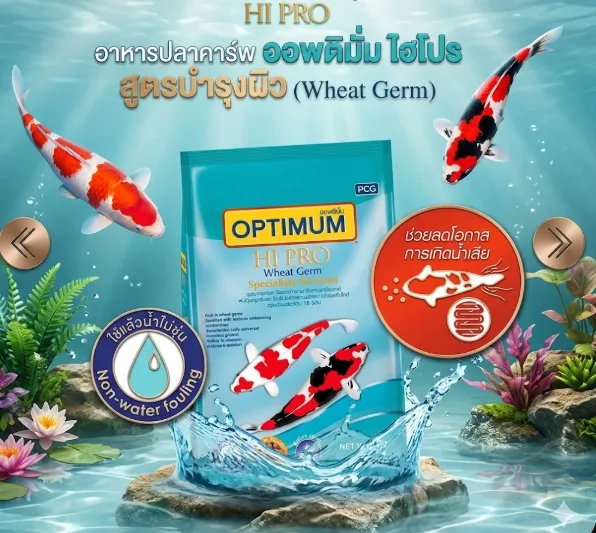 Optimum Hipro Wheat Germ อาหารปลาคาร์พ สูตรบำรุงผิว