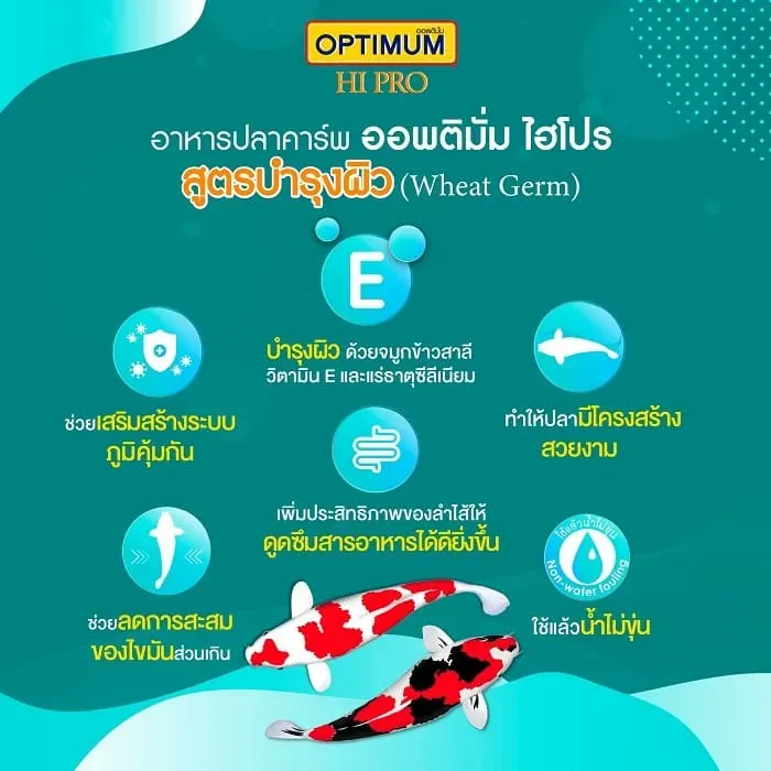 Optimum Hipro Wheat Germ อาหารปลาคาร์พ สูตรบำรุงผิว