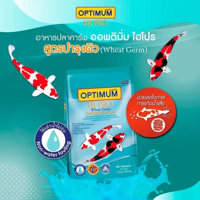 Optimum Hipro Wheat Germ อาหารปลาคาร์พ สูตรบำรุงผิว