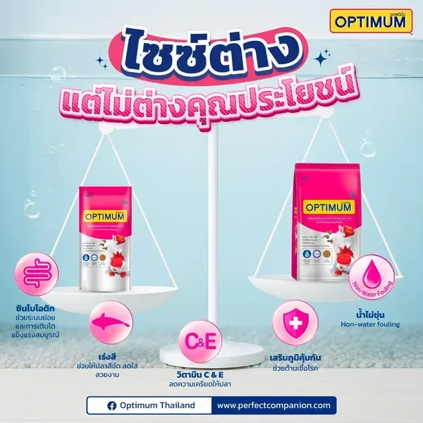Optimum Tropical Fish อาหารปลาสวยงาม
