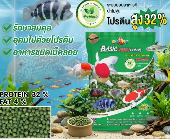 Okiko Basic Green Color 1Kg เม็ด S