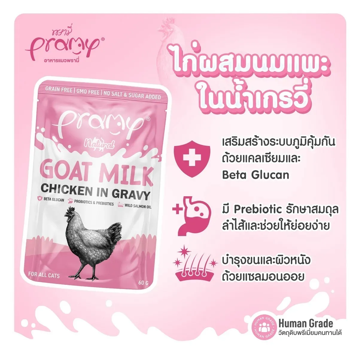 เนื้อไก่ในเกรวี่นมแพะ (CG2)