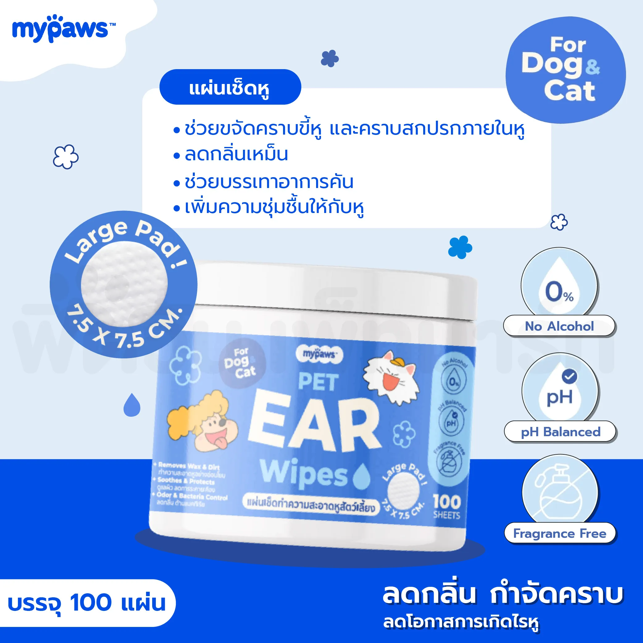 แผ่นเช็ดหู (100 แผ่น)