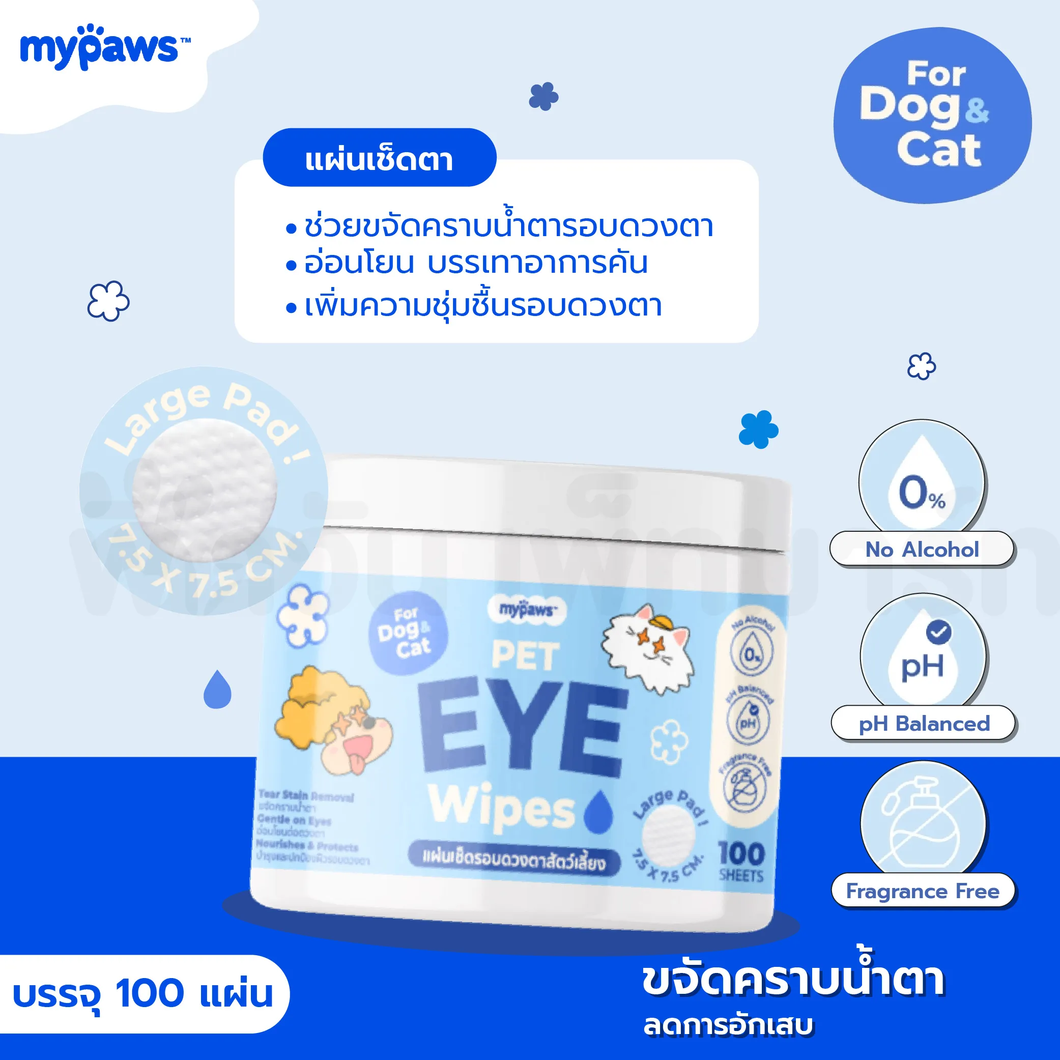 แผ่นเช็ดตา (100 แผ่น)