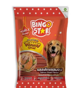 รสสเต๊กแซลมอน