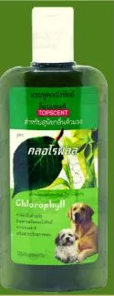 สูตรสมุนไพรคลอโรฟิลล์