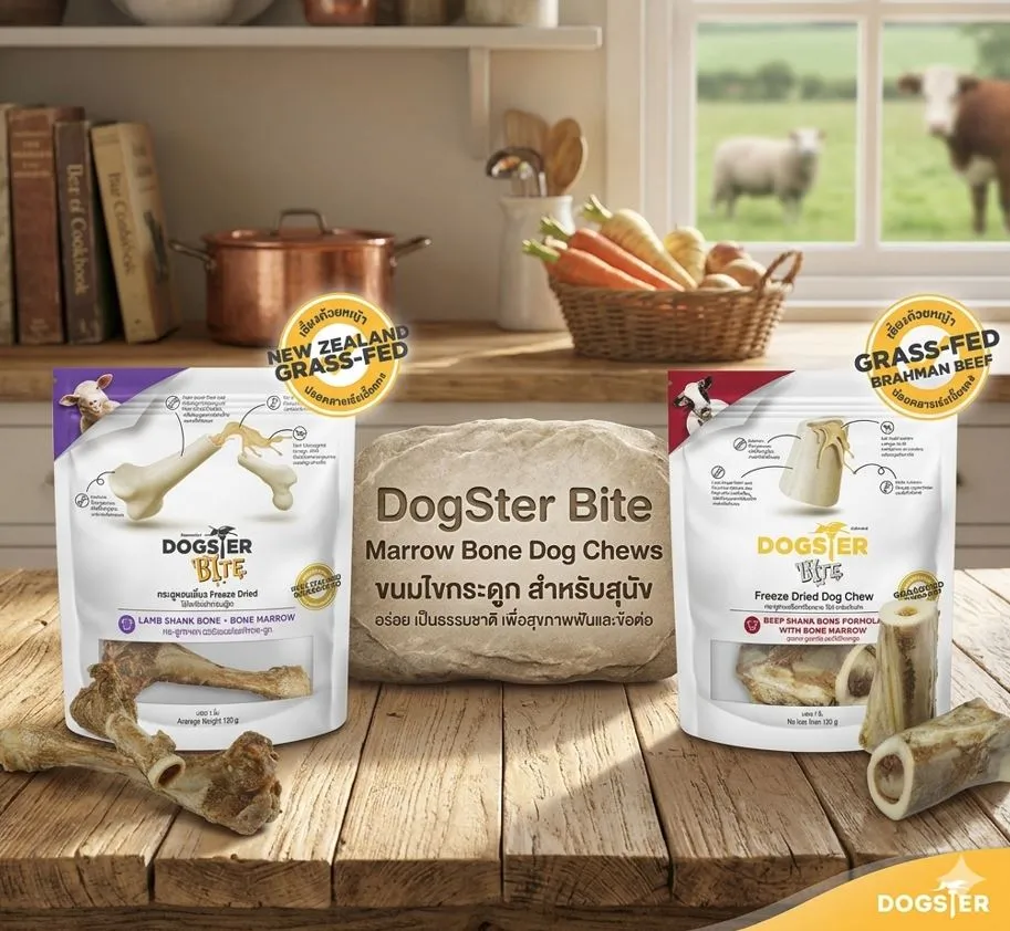 Dogster Bite ขนมเคี้ยวสุนัข