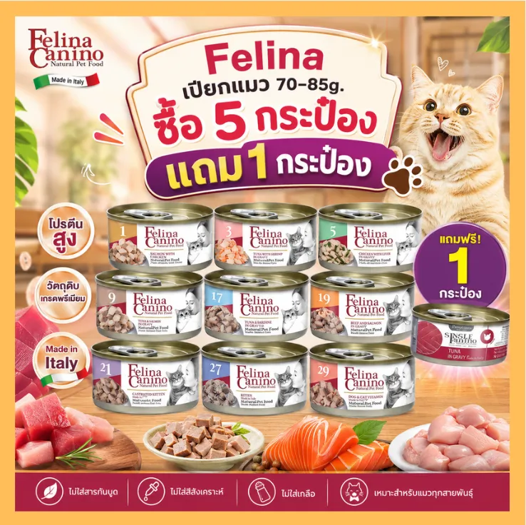  ซื้อ 5  แถม 1