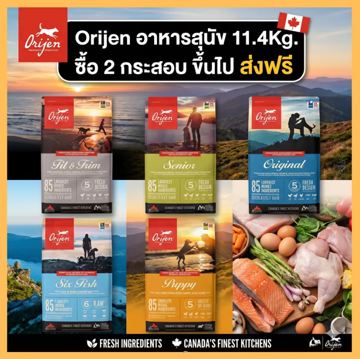 ซื้อ 2 ชิ้น ส่งฟรี