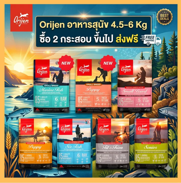 ซื้อ 2 ชิ้น  ส่งฟรี