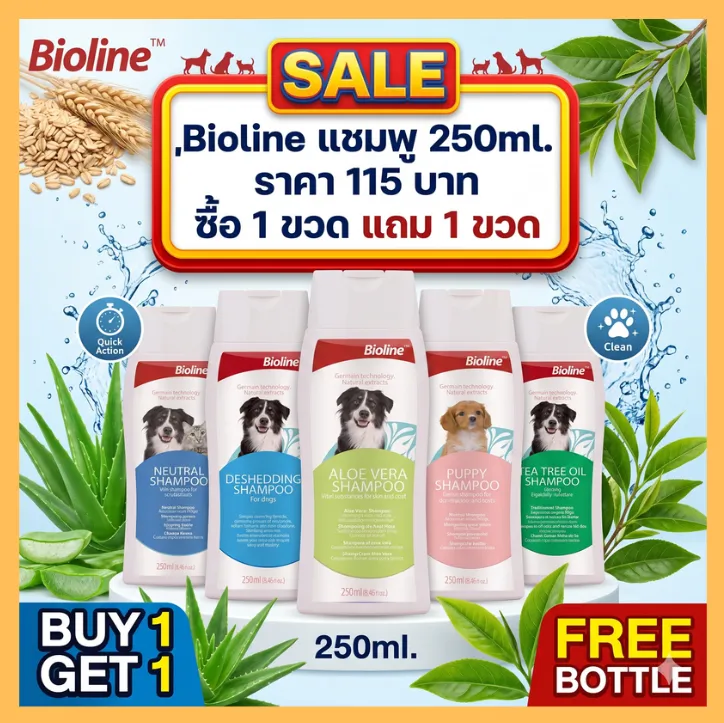  ซื้อ 1 แถม 1 