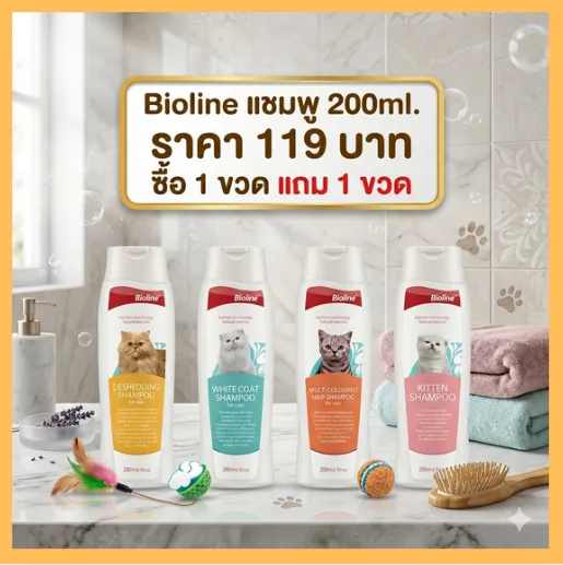  ซื้อ 1 แถม 1 