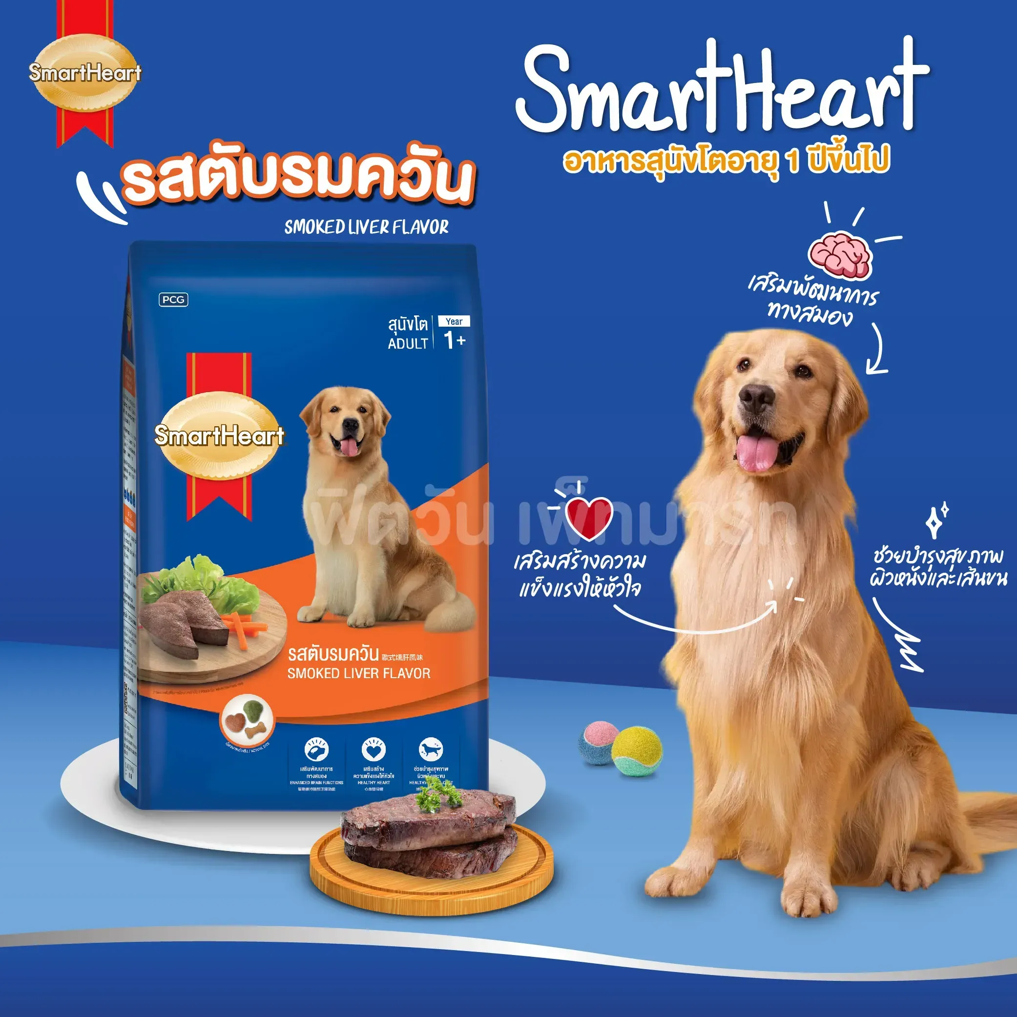Smartheart Adult อาหารสุนัข สำหรับสุนัขโตพันธุ์กลาง-ใหญ่