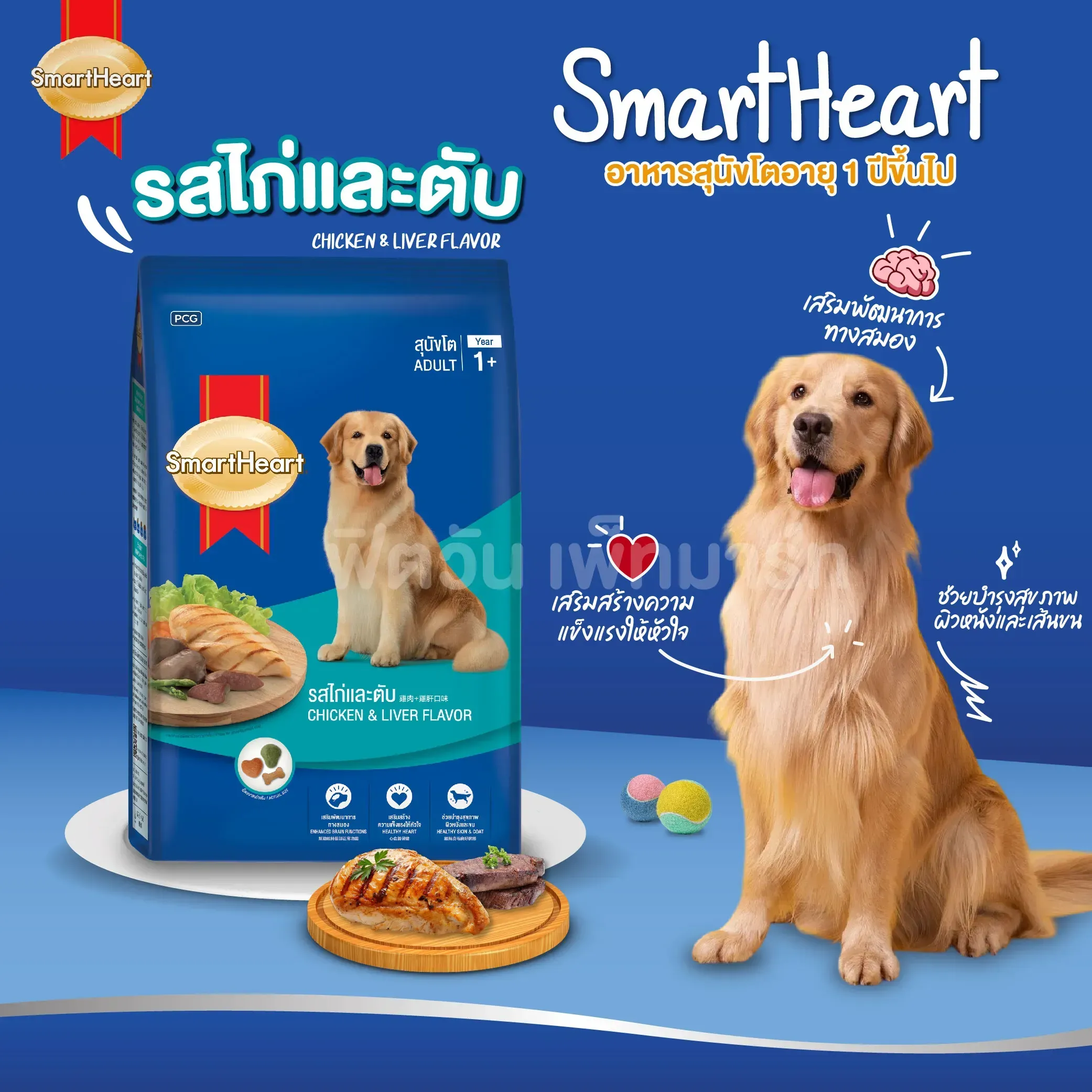 Smartheart Adult อาหารสุนัข สำหรับสุนัขโตพันธุ์กลาง-ใหญ่
